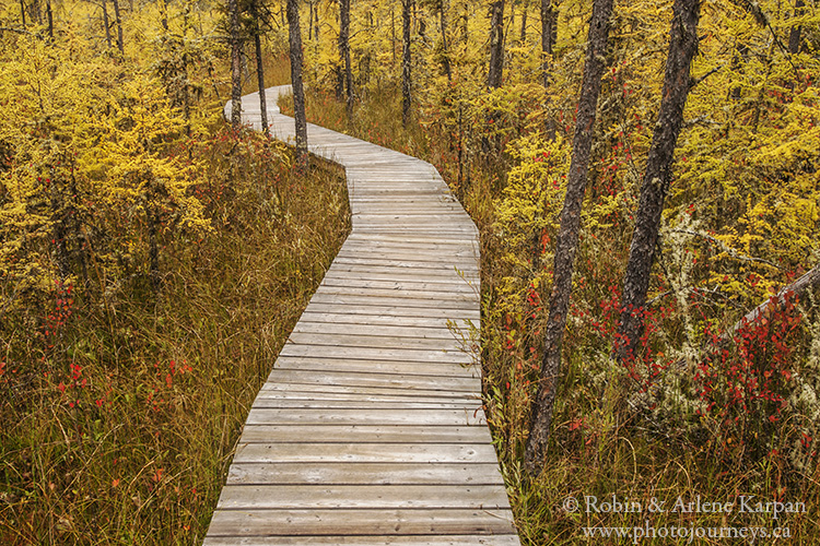 Boundary Bog Trail, Prince Albert National Park, Saskatchewan