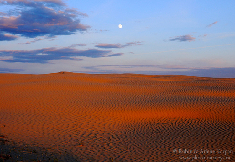 Moon rise, Great Sand Hills, Saskatchewan