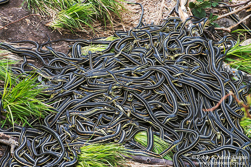 Orgy at Fort Livingstone, Saskatchewan - Photo Journeys