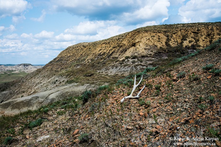 Grasslands National Park, East Block