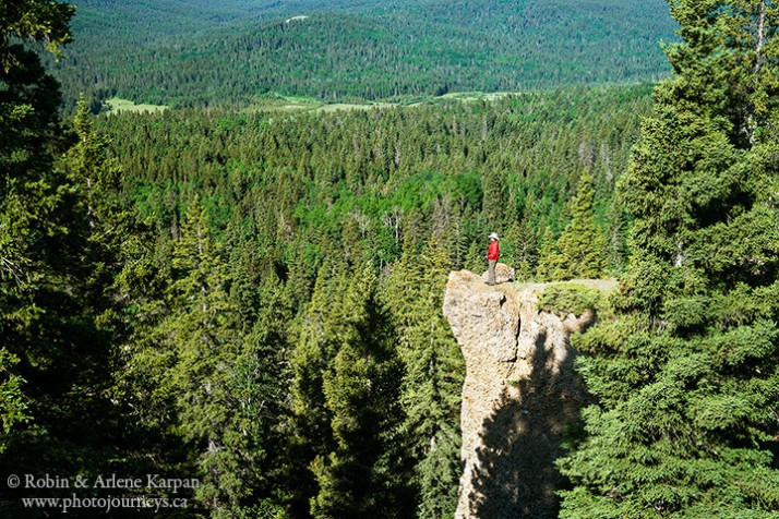 Hidden conglomerate cliffs, Cypress Hills, SK