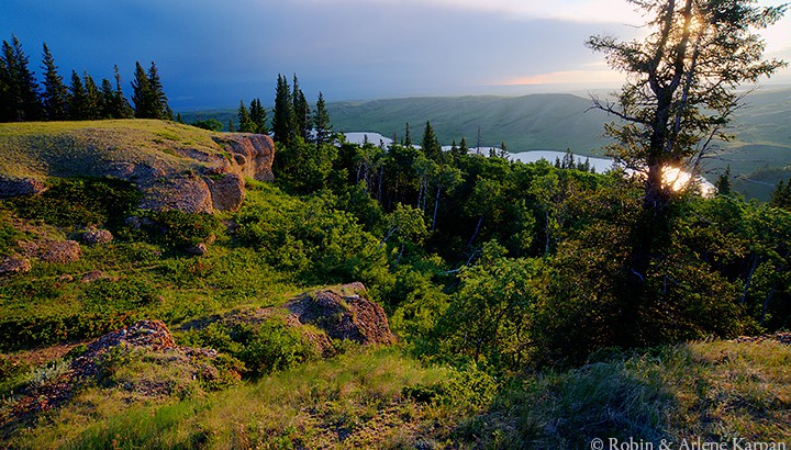 conglomerate cliffs