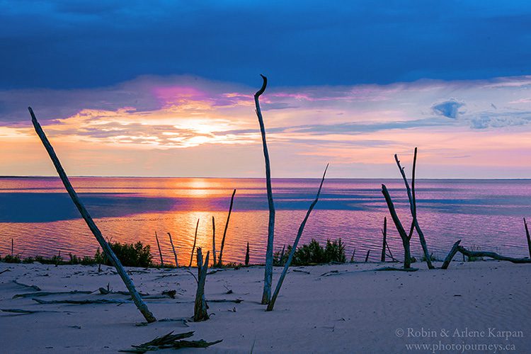 Athabasca Sand Dunes, northern Saskatchewan