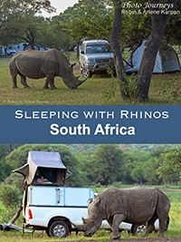 Sleeping with Rhinos blog posting