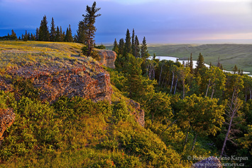 Conglomerate Cliffs, Cypress Hills, Saskatchewan