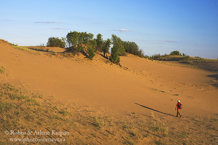 Sand dunes, Douglas Provincial Park