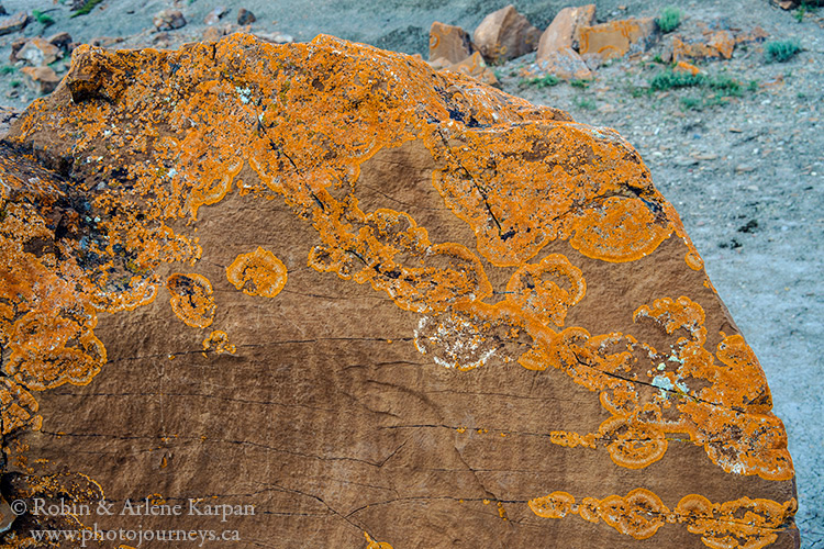 Red Rock Coulee near Medicine Hat, Alberta