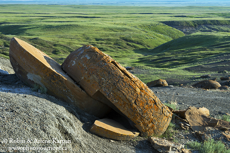 Red Rock Coulee near Medicine Hat, Alberta