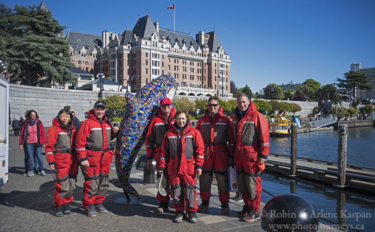 Whale watching, Victoria, BC