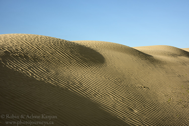 Great Sand Hills, SK