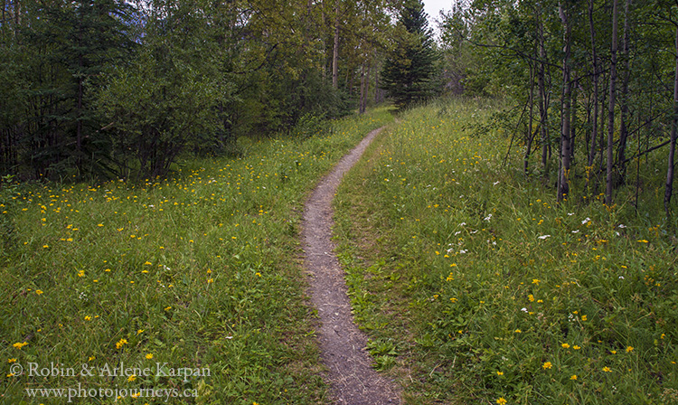 hiking trail, Kluane National Park, Yukon
