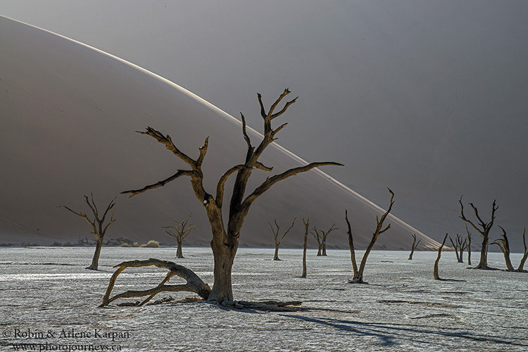 Dead vlei, Namib-Naukluft National Park, Namibia www.photojourneys.ca