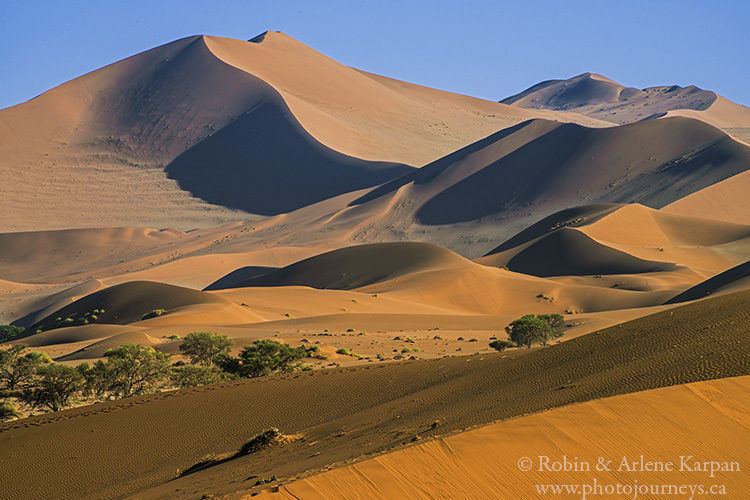 Red sand dunes around Sossusvlei, Namib … – License image – 70471966 ❘  lookphotos