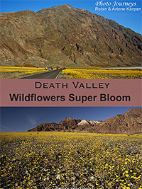 PIN for blog posting on Photojourneys.ca Death Valley Wildflowers Super Bloom