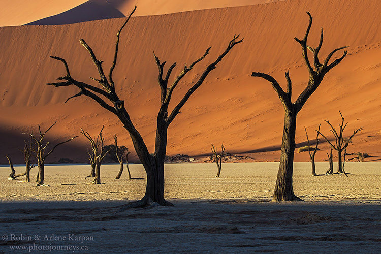 Dead Vlei, Namib-Naukluft National Park, Namibia