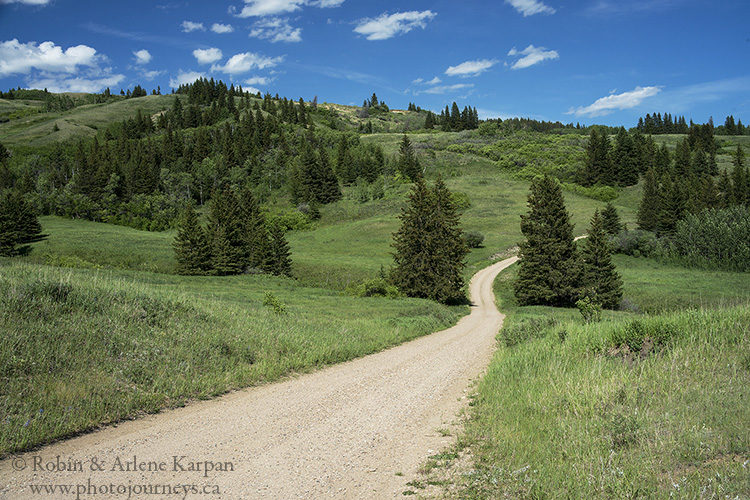 Battle Creek, Cypress Hills, in Medicine Hat posting on Photojourneys.ca