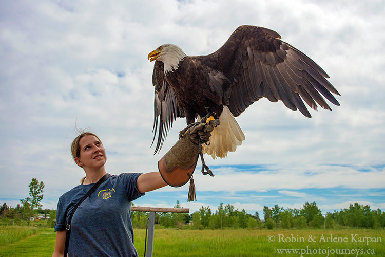 Alberta Birds of Prey Centre, Coaldale, AB