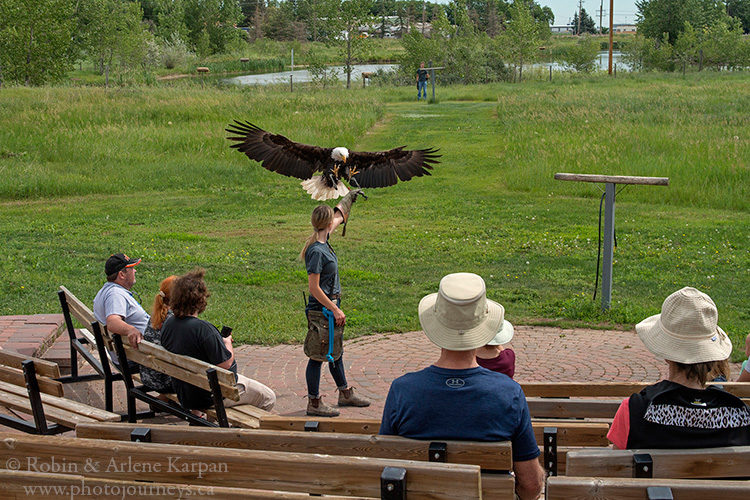 Alberta Birds of Prey Centre, Coaldale, Alberta