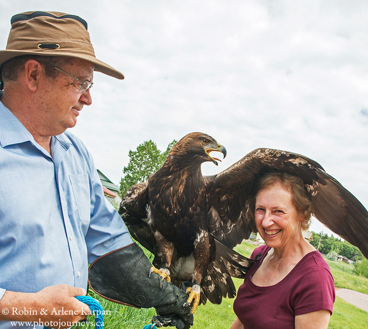 Alberta Birds of Prey Centre - Photo Journeys