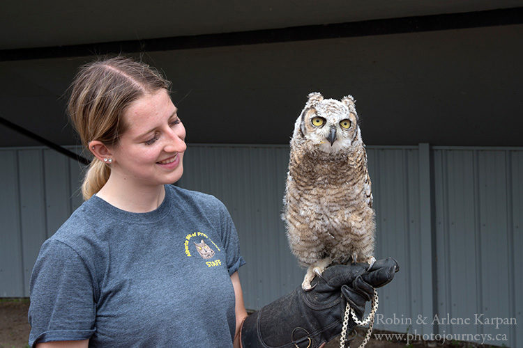 Alberta Birds of Prey Centre, Coaldale, AB