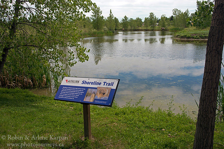 Southern Alberta Adventures: Discovering the Birds of Prey Centre -  Time.Travel.Trek.