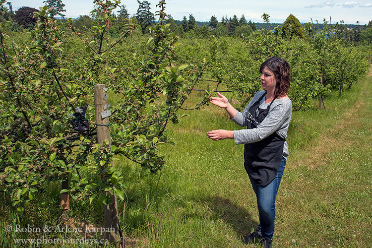 Sea Cider Farm & Ciderhouse, Saanichton, BC