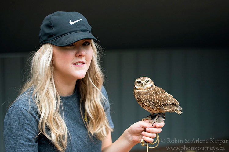 Alberta Birds of Prey Centre, Coaldale AB