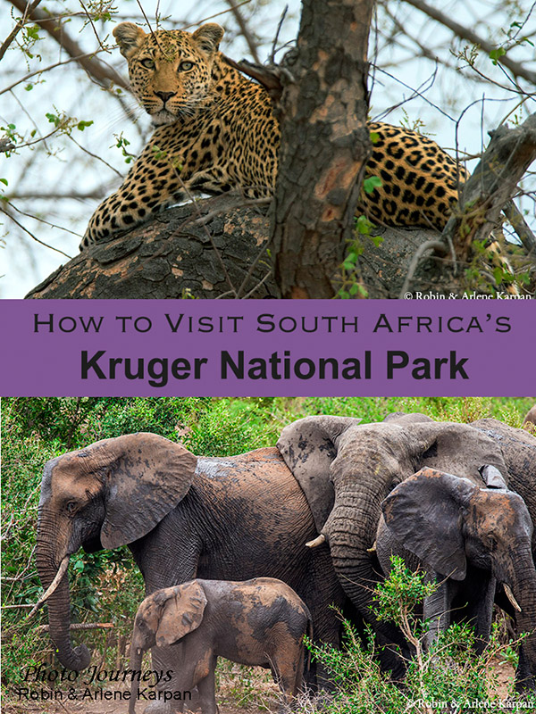How to Visit Kruger National Park blog posting