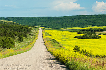 Road through Qu'Appelle Valley, Saskatchewan.