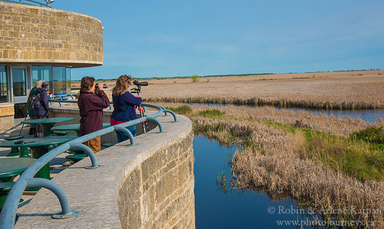 Oak Hammock Marsh near Winnipeg, Manitoba