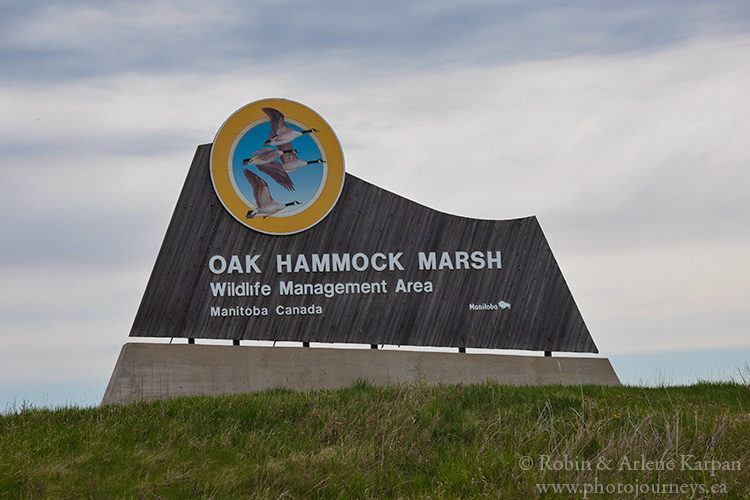 Oak Hammock Marsh near Winnipeg, Manitoba