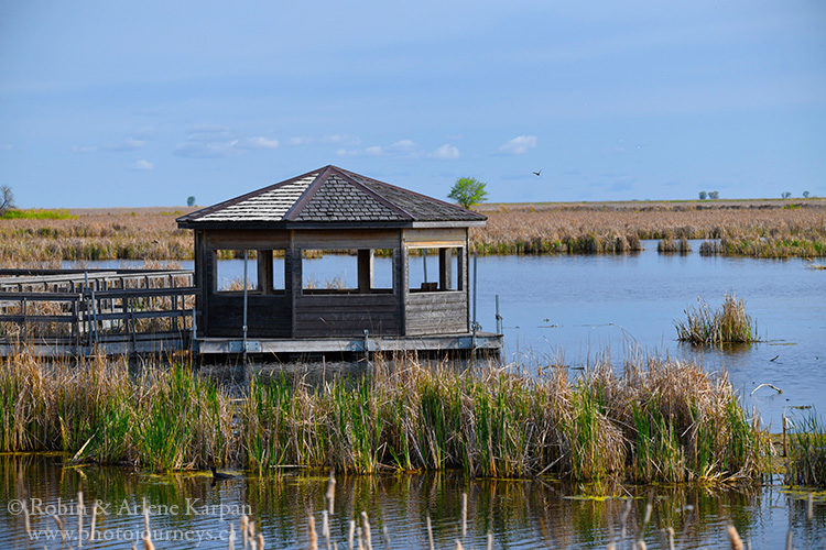 Oak Hammock Marsh near Winnipeg, Manitoba