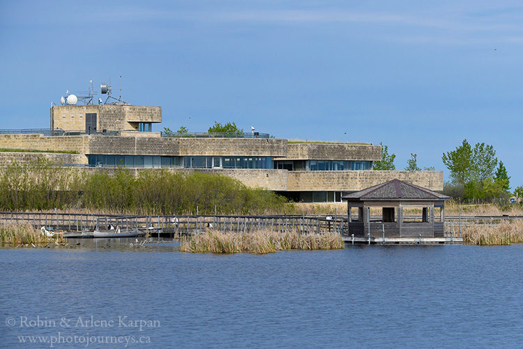 Oak Hammock Marsh near Winnipeg, Manitoba