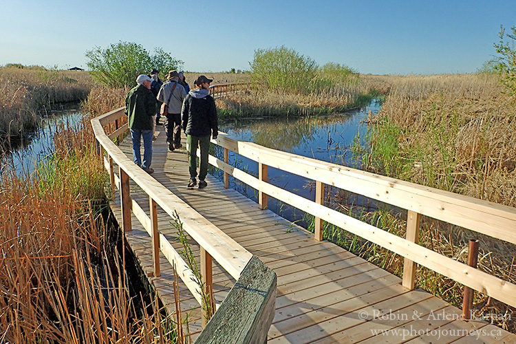 Oak Hammock Marsh near Winnipeg, Manitoba