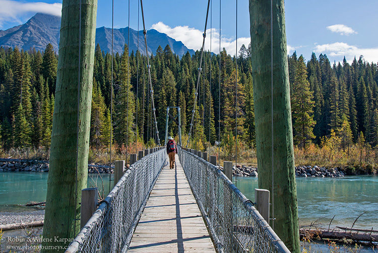 Suspension bridge on the Dog Lake Trail