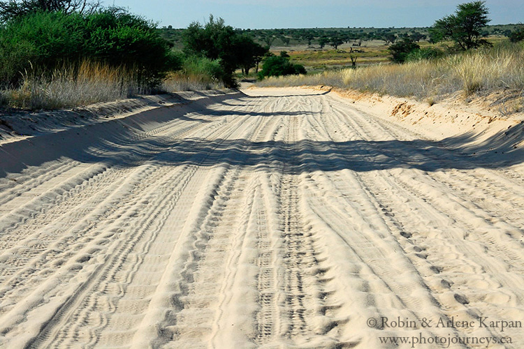 Corrugated sand road, Kalahari Desert