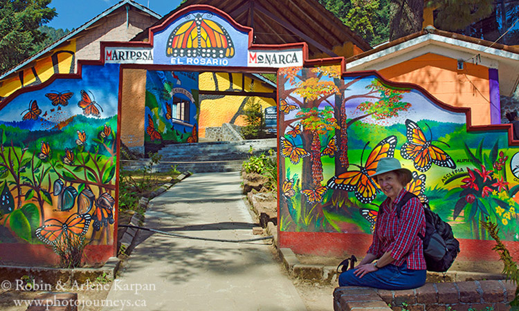 El Rosario Monarch Butterfly Biosphere Reserve, Mexico.