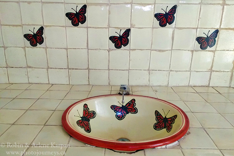 El Rosario Monarch Butterfly Preserve