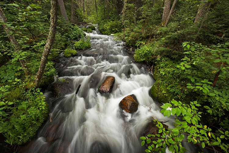 Karst Spring, Grass River Provincial Park, Manitoba, Canada