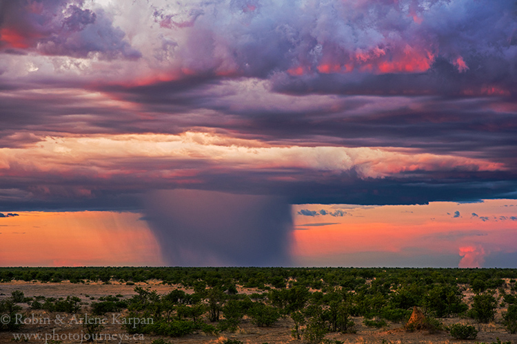 A distant rainstorm, Etosha National Park, Namibia.  