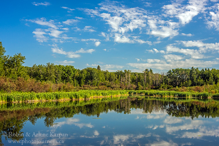 Thickwood Hills, Saskatchewan