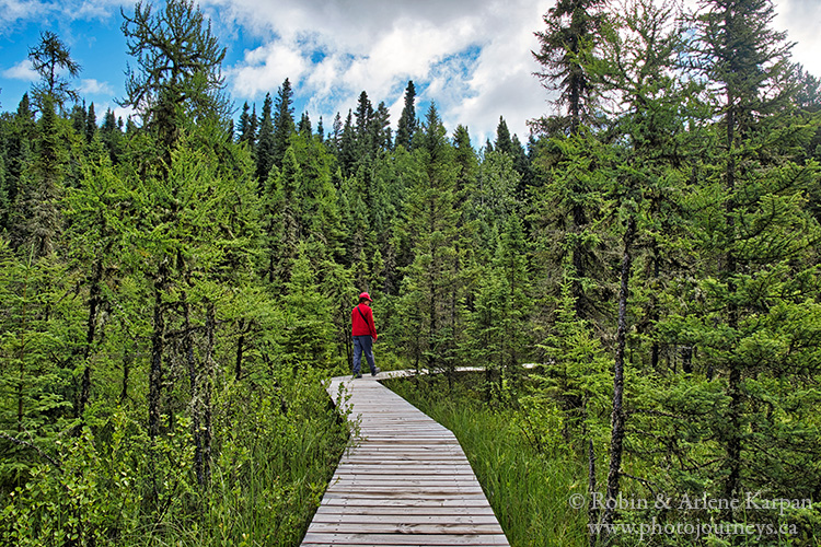 Boundary Bog Trail, Prince Albert National Park, Saskatchewan