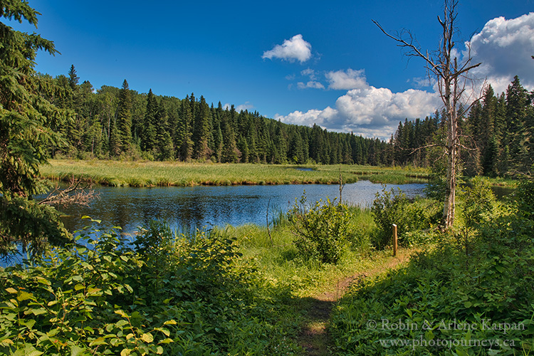 Mud Creek Trail, Prince Albert National Park, Saskatchewan