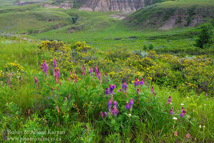 Grasslands National Park, Saskatchewan