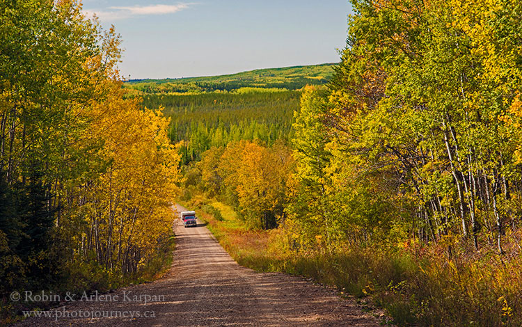 Porcupine Forest, fall colours, Saskatchewan.