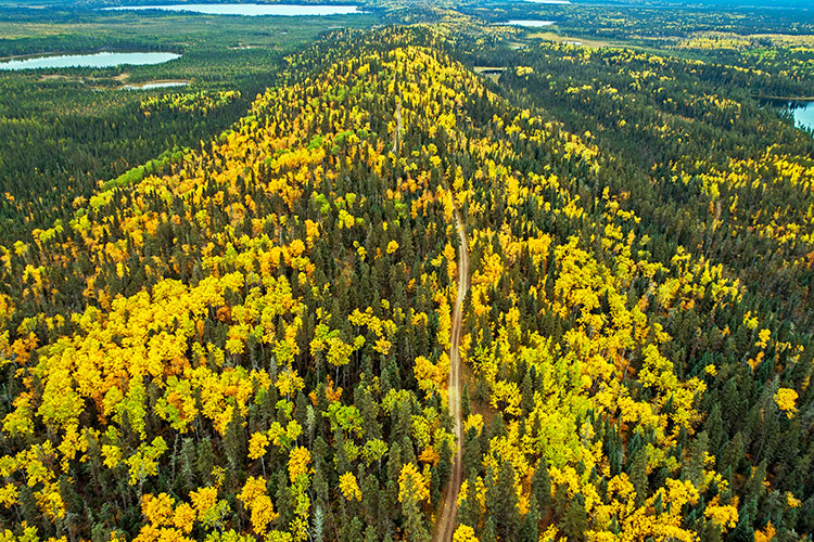 Narrow Hills Provincial Park, Saskatchewan