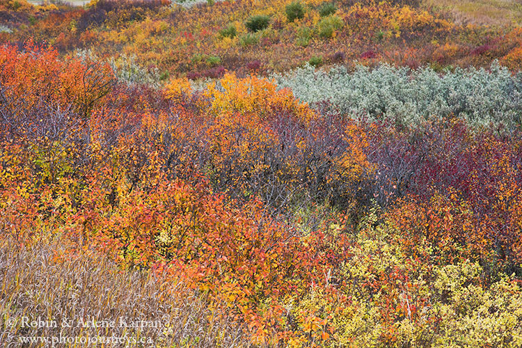 Fish Creek Valley, Saskatchewan