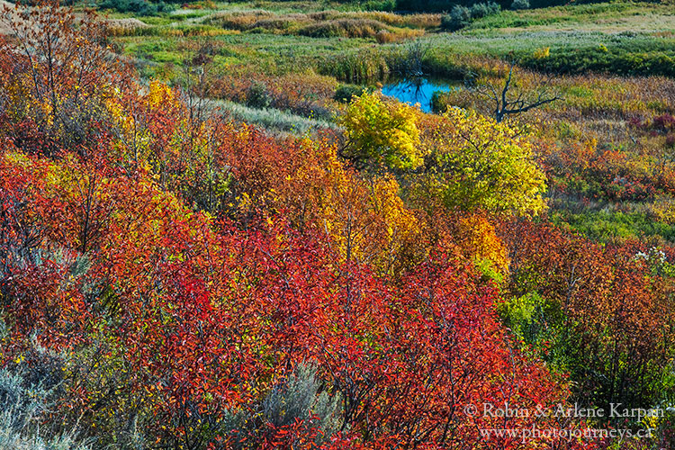 Saskatchewan Landing Provincial Park, fall colours