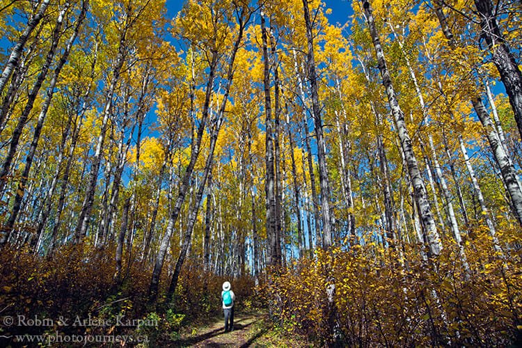 Spruce River Highlands Trail, Prince Albert National Park, Saskatchewan