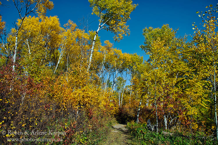 Spruce River Highlands Trail, Prince Albert National Park, Saskatchewan